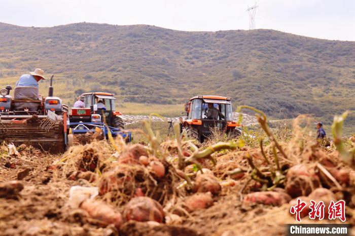 青海東部農(nóng)業(yè)區(qū)：“一分川、一分水、八分山”里“刨金記”
