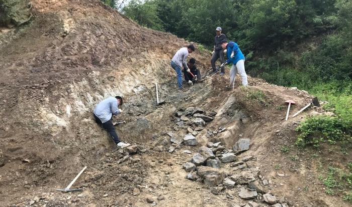 2018年玉海翼角魚野外發(fā)掘采集現(xiàn)場(chǎng)?！∩w志琨 攝