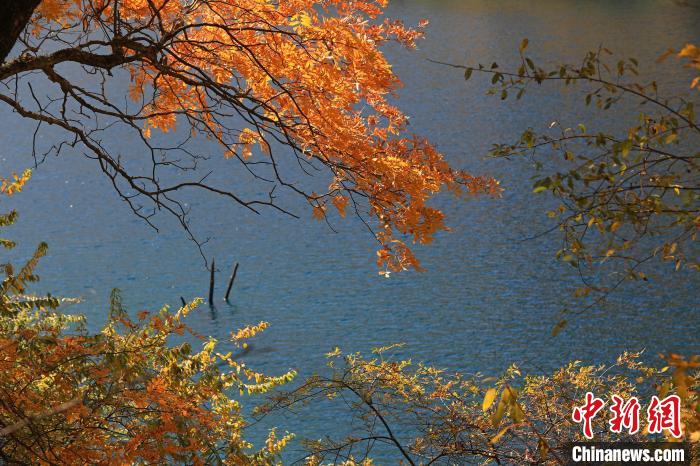 松坪溝風光?！⑼?攝