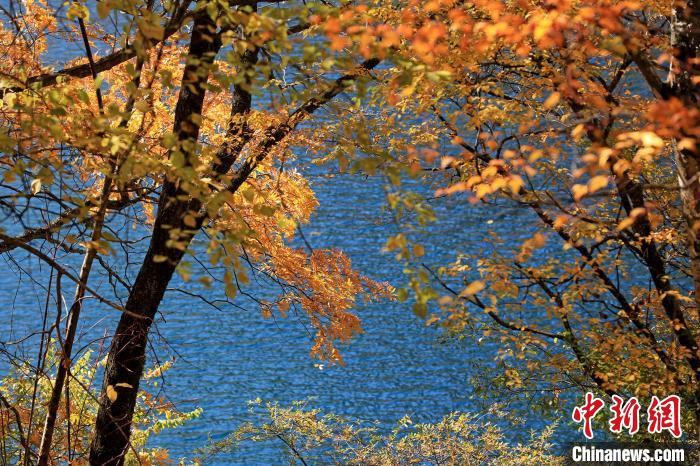 松坪溝風光?！⑼?攝