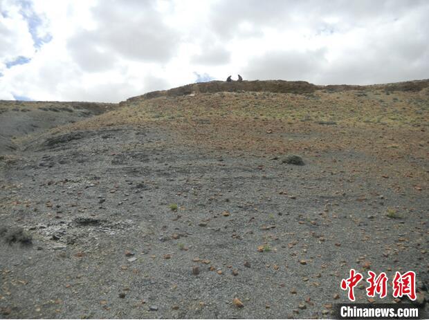 圖為本次研究的藏南曲布剖面二疊紀(jì)末期黑色頁巖?！∧瞎潘?供圖