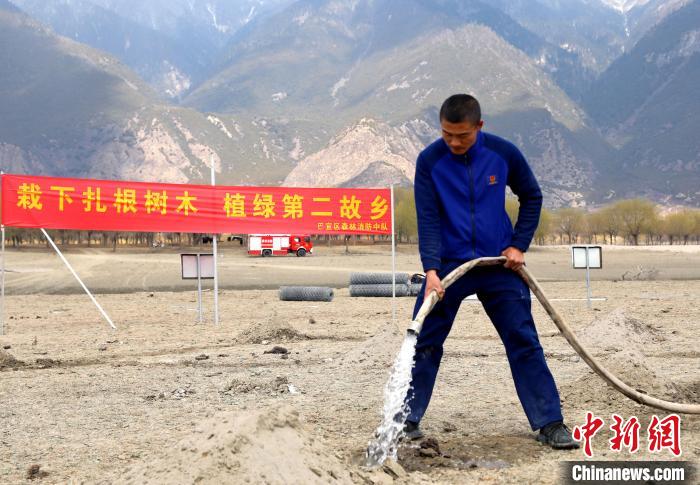 林芝市巴宜區(qū)森林消防中隊志愿服務(wù)隊澆水灌溉?！∥骼@拉翁 攝