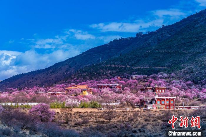 美麗的鄉(xiāng)村畫卷?！『涡秀?攝