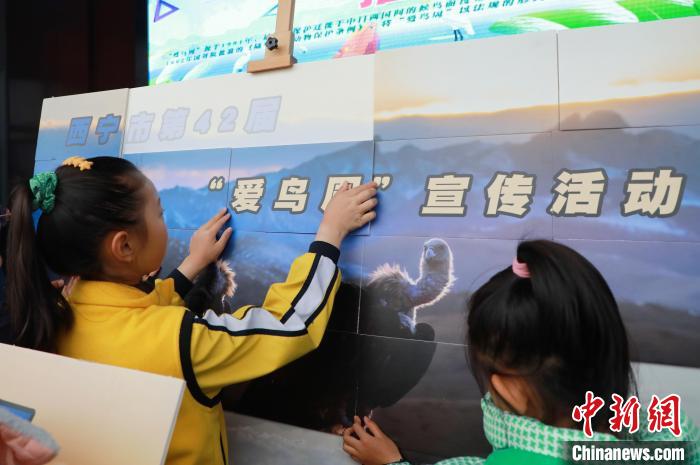 圖為學(xué)生通過拼圖游戲了解鳥類知識?！●R銘言 攝