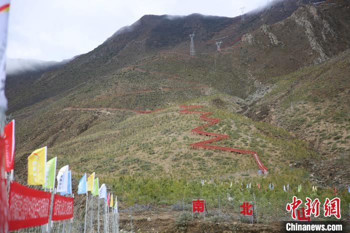 圖為拉薩南北山綠化工程拉薩曲水縣才納村5號(hào)片區(qū)?！∝暣_ 攝