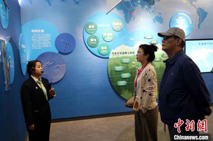 圖為臺商在祁連山國家公園生態(tài)科普館內(nèi)聆聽講解。　薛蒂 攝