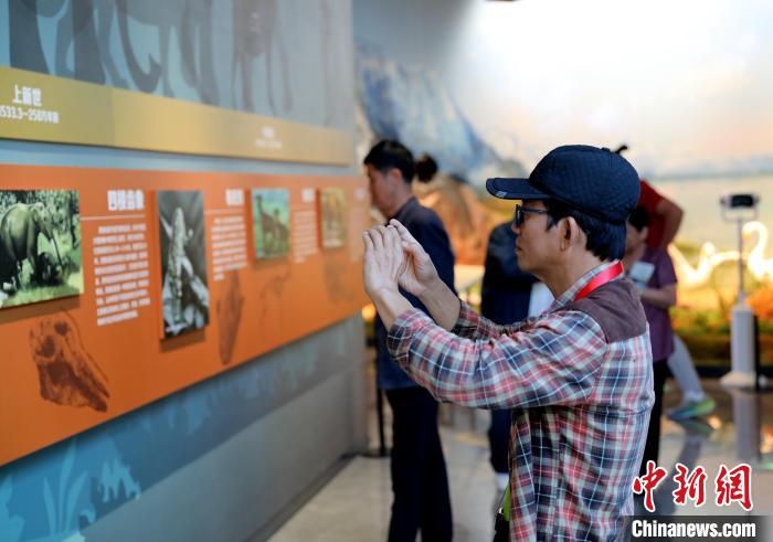 圖為臺商在祁連山國家公園生態(tài)科普館觀看墻面藝術(shù)圖文?！⊙Φ?攝