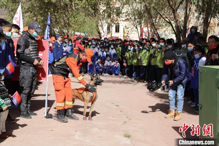 圖為搜救犬服從和箱體搜救演練?！≮w琳 攝