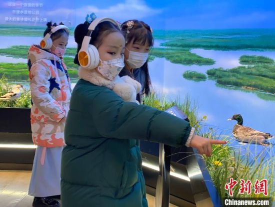 圖為學生在西寧市第一中學濕地科普宣教館內(nèi)參觀。　李江寧 攝