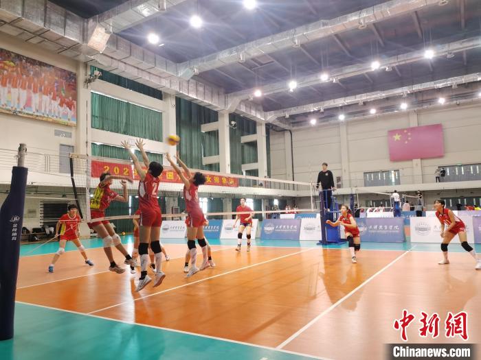 圖為全國(guó)青少年女排在天津進(jìn)行集訓(xùn)?！√旖蝮w育學(xué)院供圖