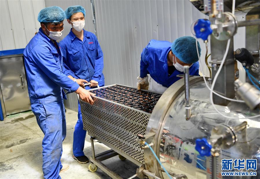 (走向我們的小康生活)(5)西藏朗縣:發(fā)展辣椒產(chǎn)業(yè) 助力脫貧攻堅