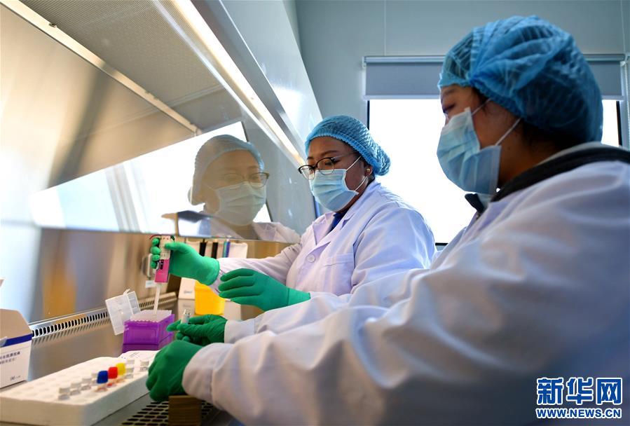 (新華全媒頭條·圖文互動)(8)莊重的承諾 歷史的奇跡——西藏自治區(qū)決戰(zhàn)脫貧攻堅紀(jì)實