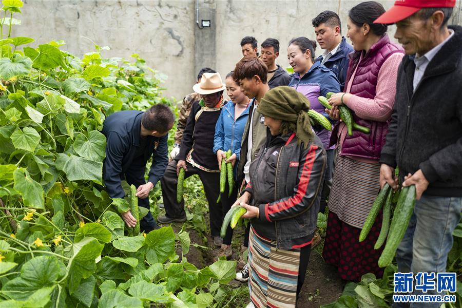（新華全媒頭條·走向我們的小康生活·圖文互動）（9）扎西德勒，我們的新家園——西藏易地扶貧搬遷搬出幸福美好新生活