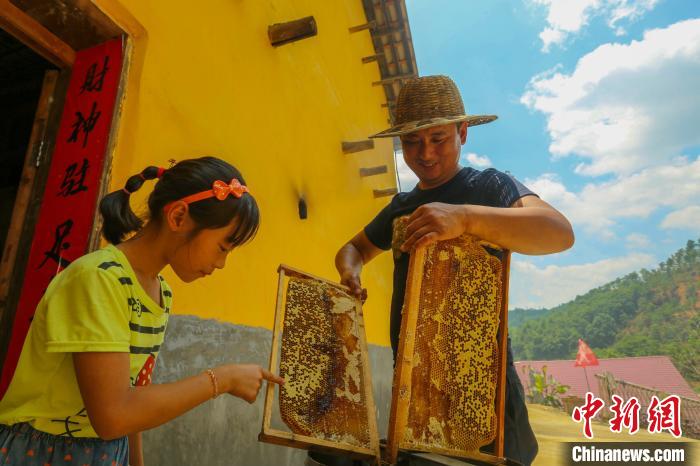 “甜蜜產(chǎn)業(yè)”讓全村致富有奔頭。洲湖鎮(zhèn)供圖