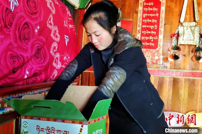 圖為通麥村村民巴桑拉姆把精心挑選的蘋果裝箱?！∝暽＠?攝