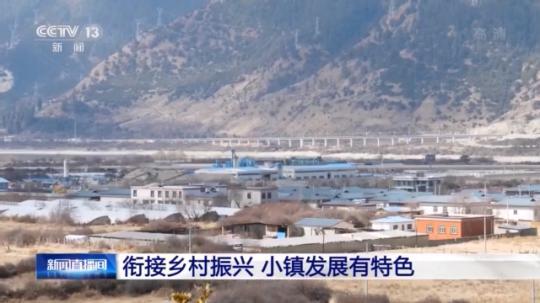 種蘑菇、養(yǎng)駱駝...。。特色產(chǎn)業(yè)助力鄉(xiāng)村振興走新路