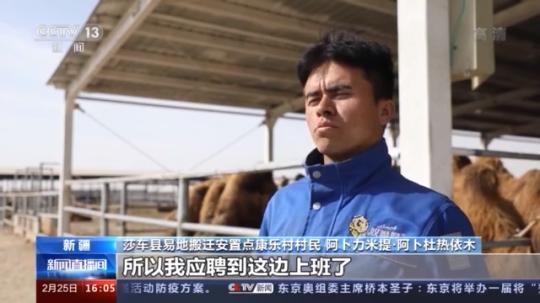 種蘑菇、養(yǎng)駱駝...。。特色產(chǎn)業(yè)助力鄉(xiāng)村振興走新路