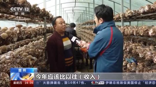 種蘑菇、養(yǎng)駱駝...。。特色產(chǎn)業(yè)助力鄉(xiāng)村振興走新路