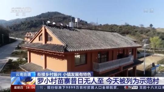 種蘑菇、養(yǎng)駱駝...。。特色產(chǎn)業(yè)助力鄉(xiāng)村振興走新路