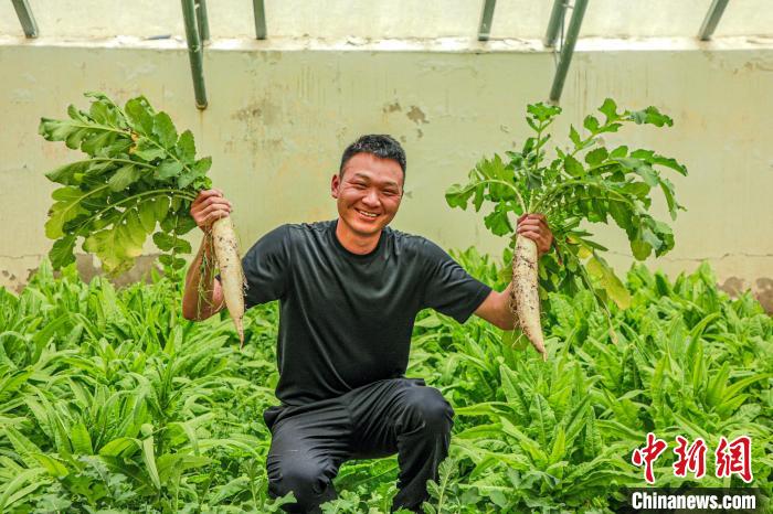 西藏阿里門士邊境派出所民警兼職大棚種植、豐富牧民餐桌