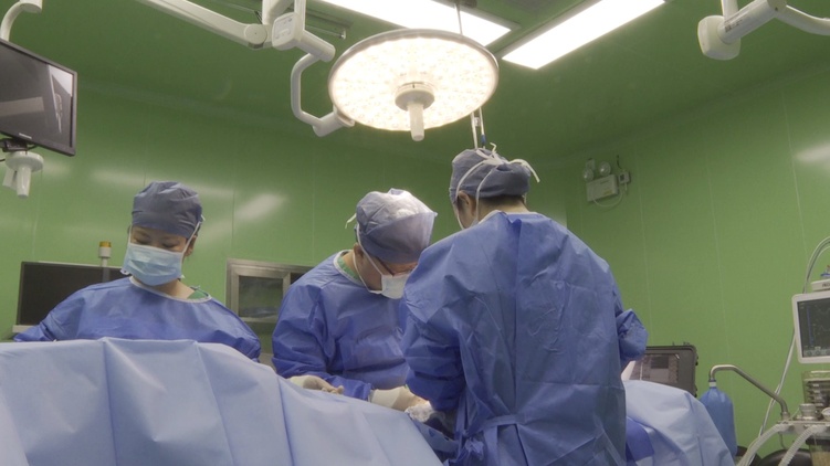 非洲各界點(diǎn)贊“和平方舟”:對中國為世界發(fā)展所做的一切說“謝謝”