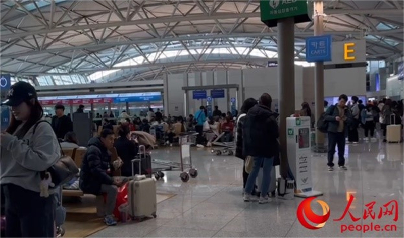 11月29日，繁忙的仁川機場。人民網(wǎng) 李帆攝
