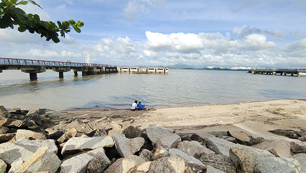 深圳紅樹林灘涂，留給了孩子們親近自然的空間。人民網(wǎng)記者 李彤?dāng)z