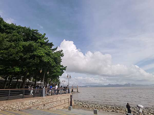 紅樹林灘涂沿線一角。人民網(wǎng)記者 張素玲攝