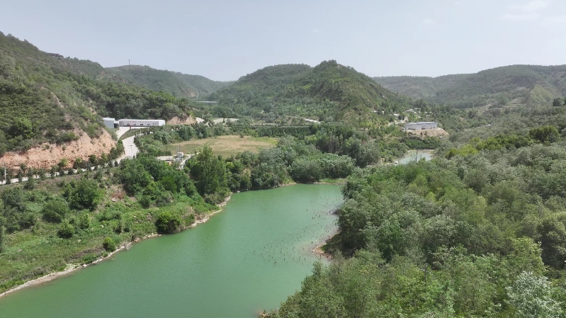 【高質(zhì)量發(fā)展調(diào)研行】延安:“紅”與“綠”交相輝映