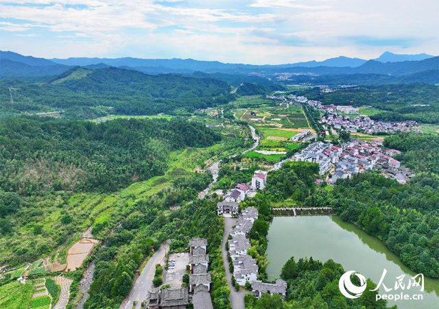 資溪縣森林資源豐富，森林覆蓋率達87.7%，有林地資源168萬畝。人民網 朱海鵬攝