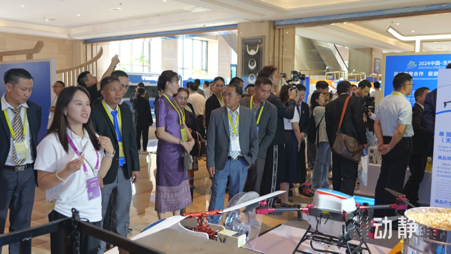 展示成果分享經(jīng)驗(yàn)，中國(guó)—東盟教育交流周深化合作共創(chuàng)未來！