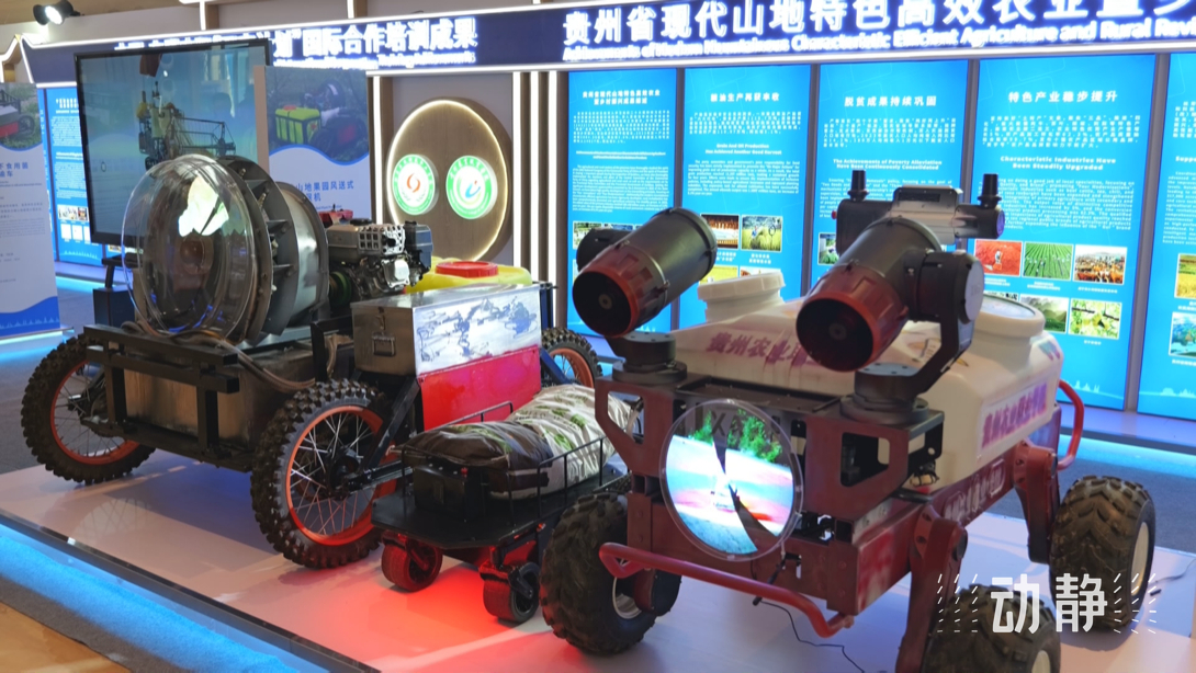 展示成果分享經(jīng)驗(yàn)，中國(guó)—東盟教育交流周深化合作共創(chuàng)未來！