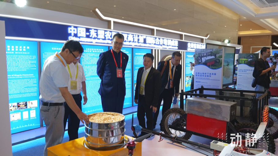 展示成果分享經(jīng)驗(yàn)，中國(guó)—東盟教育交流周深化合作共創(chuàng)未來！