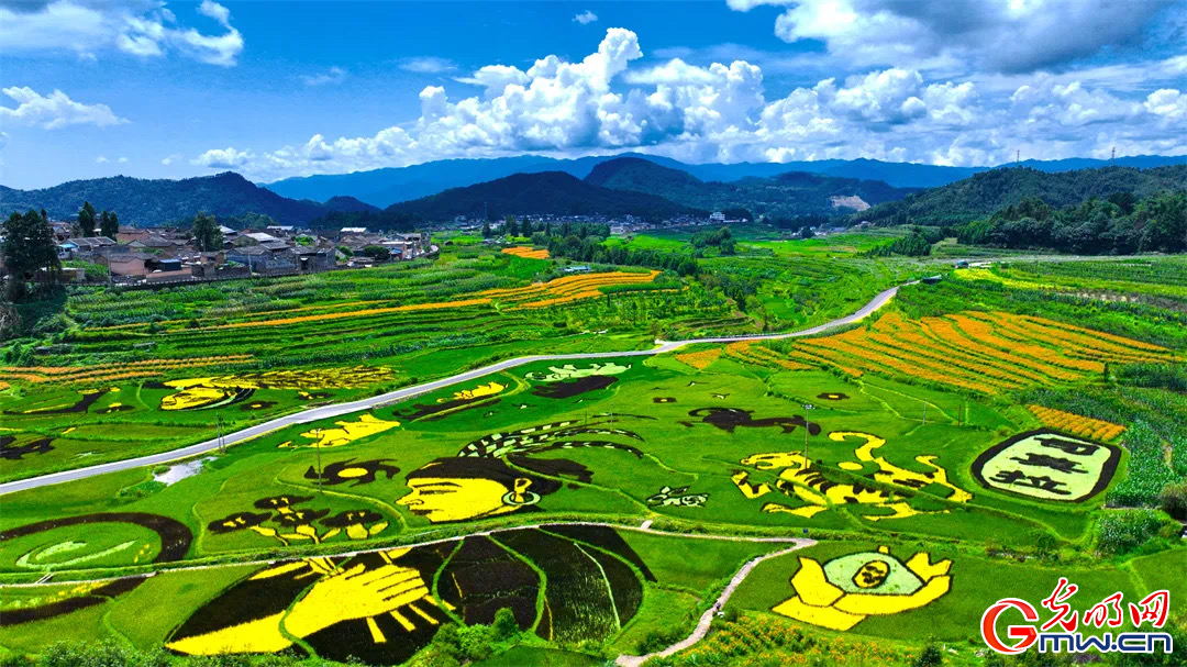 云南清水：延伸公共法律服務(wù)觸角，讓普法與民族團結(jié)進步互促共融