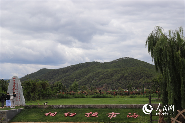 麗江市拉市海景區(qū)。 人民網(wǎng)記者 程浩攝