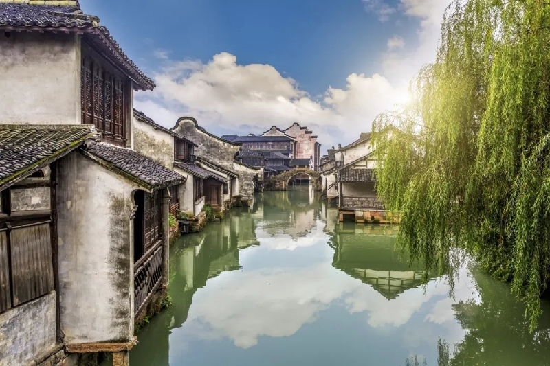 烏鎮(zhèn)動(dòng)觀察｜這個(gè)字，牽起國際交流互鑒之紐帶