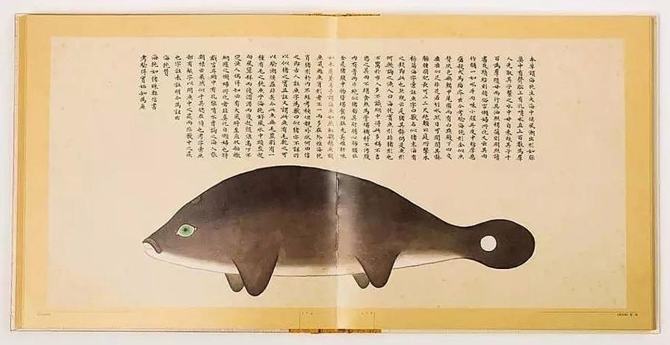 文化中國行 長江之歌丨微笑的江豚，從四千年前“游”來