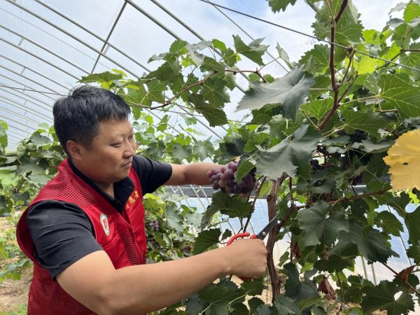 78aa03fb9bc57cf3bad0dcfe4220ede