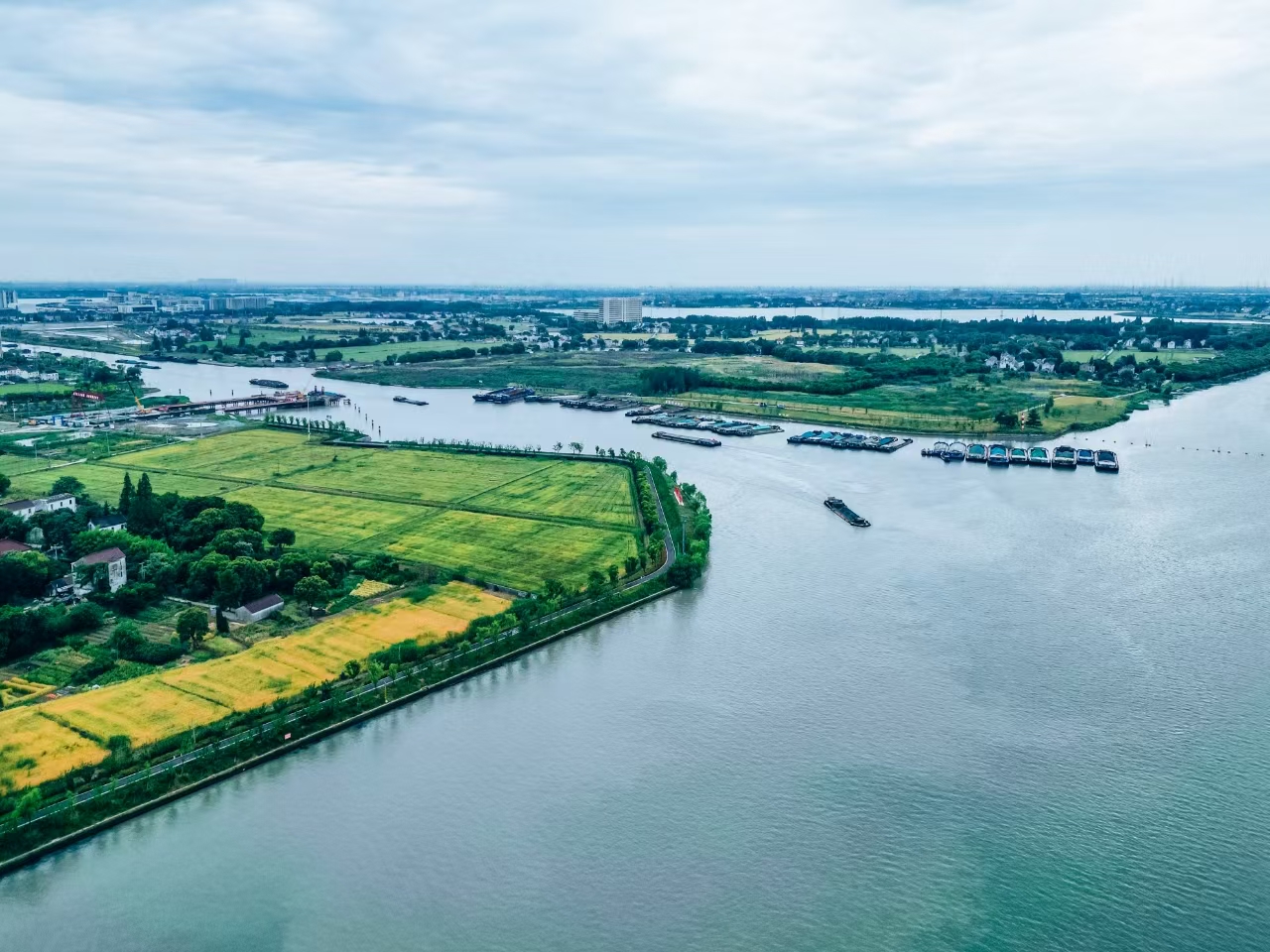 太浦河沿岸好風(fēng)光。吳橫軒攝