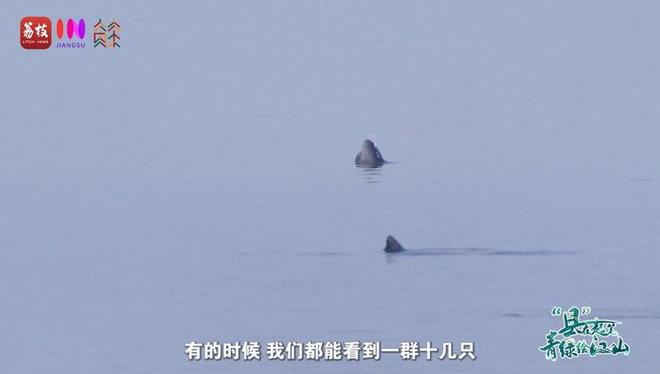 “縣”在起筆 青綠繪江山 | 江灣沐曉：褪去“銹色”走“金線”，繡出生態(tài)與產(chǎn)業(yè)“雙面錦”