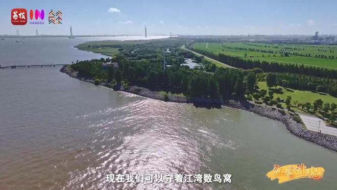 “縣”在起筆 青綠繪江山 | 江灣沐曉：褪去“銹色”走“金線”，繡出生態(tài)與產(chǎn)業(yè)“雙面錦”