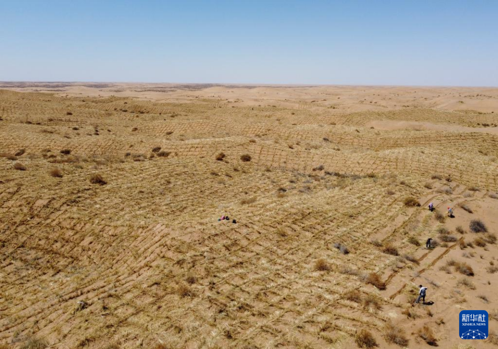 2024年4月10日，群眾在古浪縣八步沙林場麻黃塘沙區(qū)用草方格壓沙。新華社發(fā)（無人機(jī)照片）