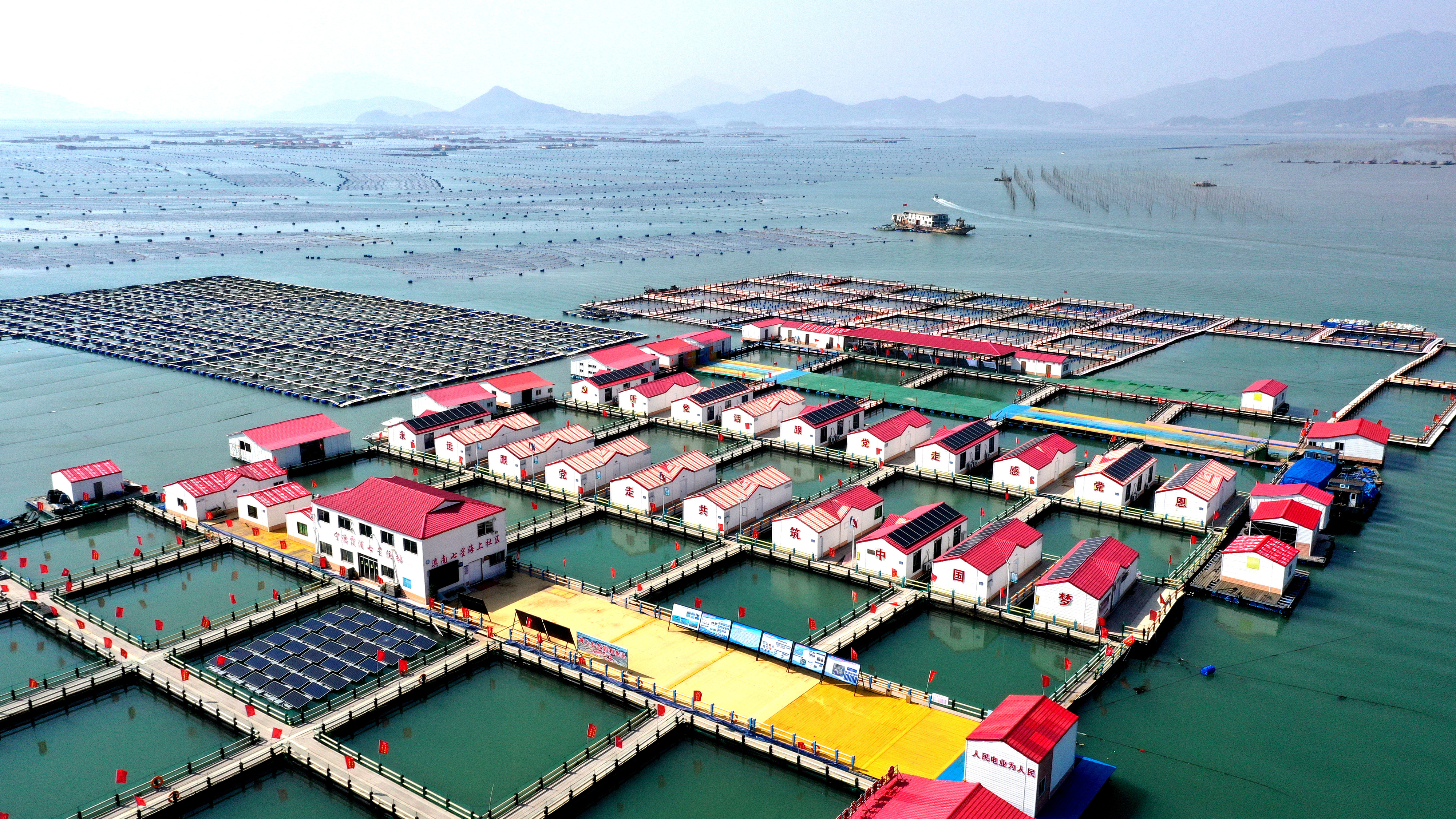 2024年3月20日，福建省寧德市，霞浦縣溪南鎮(zhèn)七星村漁排養(yǎng)殖示范區(qū)，漁民駕駛養(yǎng)殖船進行海參養(yǎng)殖作業(yè)。