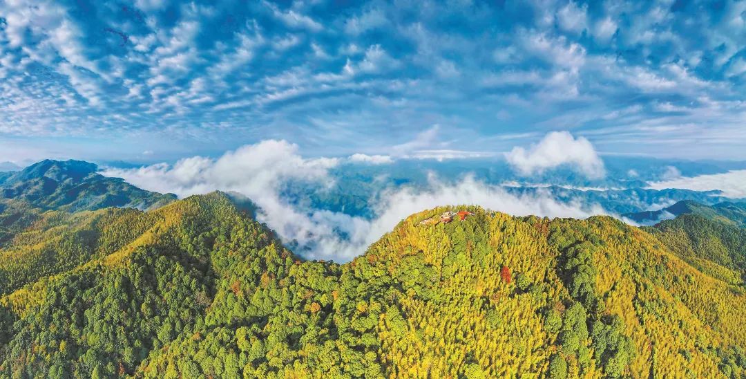 　三明森林生態(tài)環(huán)境優(yōu)美。