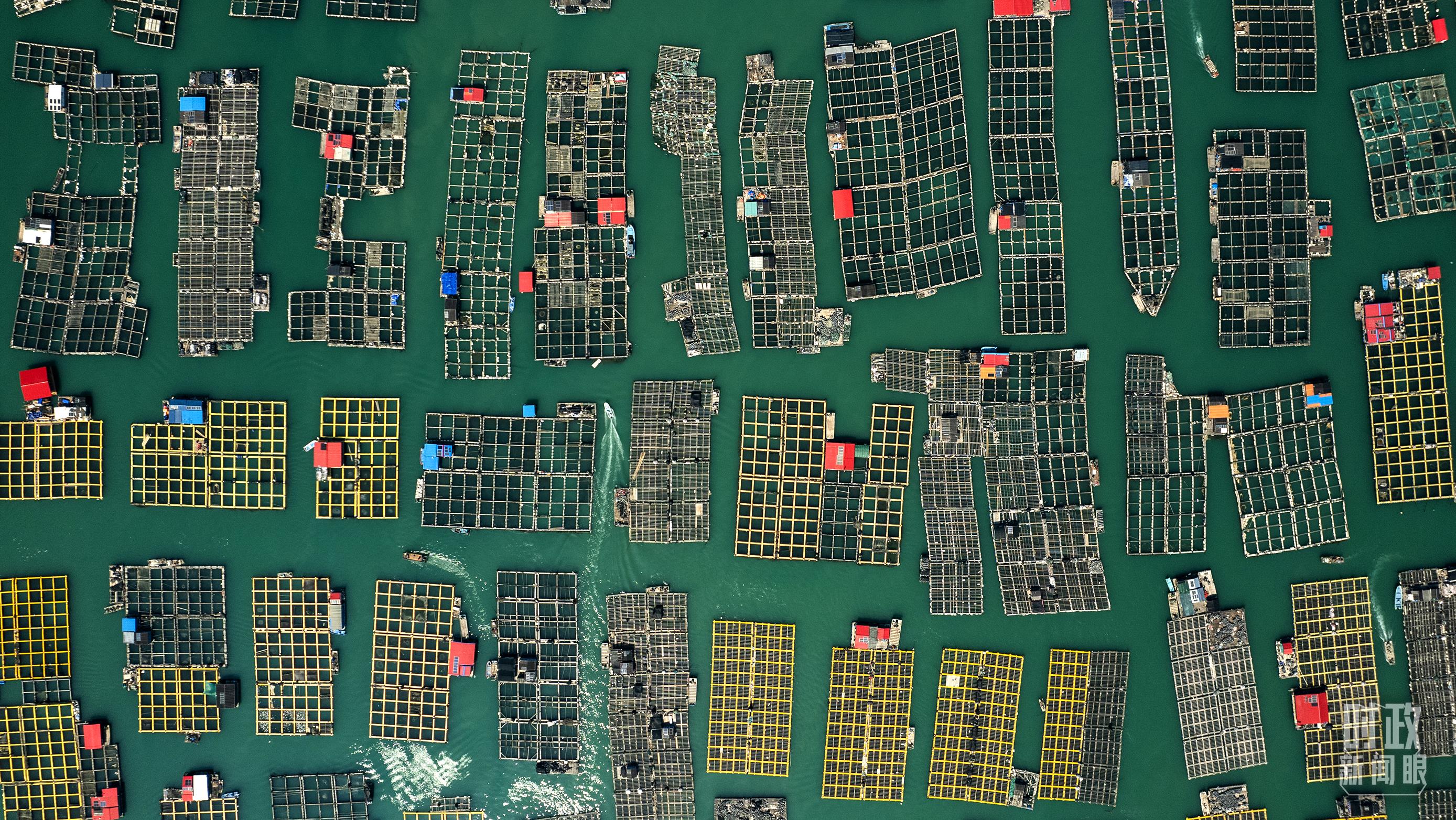 △澳角村。（總臺(tái)記者李晉拍攝）