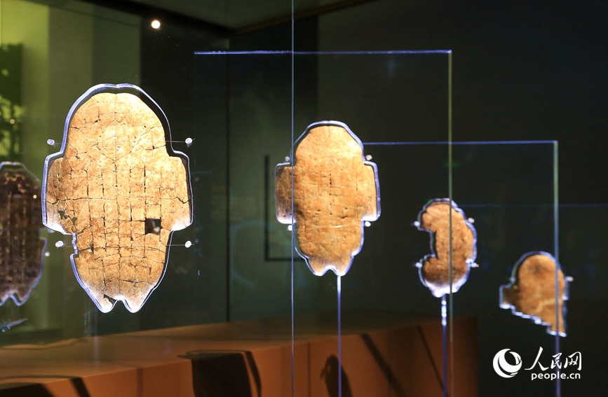 殷墟博物館展出的甲骨文。人民網(wǎng)記者 慎志遠 攝