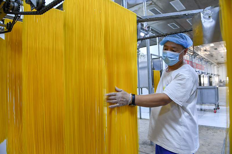 2024年1月25日，在吉林省公主嶺市的一家公司車間，工人查看玉米面條生產(chǎn)情況。