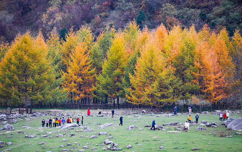 2023年10月27日，深秋時(shí)節(jié)的陜西秦嶺太子嶺漫山紅黃、色彩交織，進(jìn)入最佳觀賞期。
