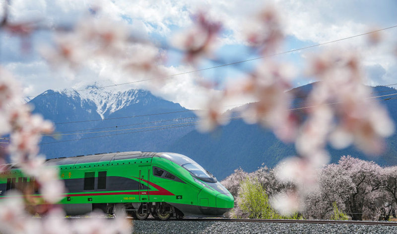 2025年4月2日，復(fù)興號列車穿行在拉林鐵路林芝段。