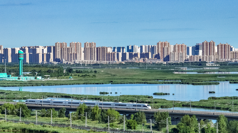 2025年8月17日，一列動(dòng)車組列車駛過大慶東站。